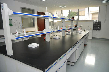 Lab Area